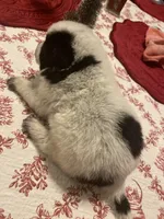 processed/368efe07-9ceb-432c-93d1-e893df915b21/listing/d11c28af-fbb0-486a-8295-4d3f513bbcf1/d28b4125-0c41-4e11-bd0b-bef244c3fdc8