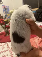 processed/368efe07-9ceb-432c-93d1-e893df915b21/listing/d11c28af-fbb0-486a-8295-4d3f513bbcf1/eb5291f7-96b8-4445-bcd6-d363573a4ac8