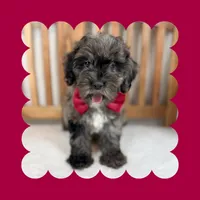 processed/3690617c-c2a8-4c80-abe7-2774ed0d038e/listing/3cbb1a8d-66ee-473a-a0f7-1183e49da6b1/3f5a8aac-a79c-4310-a5d7-722888ae58a2