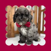 processed/3690617c-c2a8-4c80-abe7-2774ed0d038e/listing/3cbb1a8d-66ee-473a-a0f7-1183e49da6b1/869da82a-6665-4c1f-9f53-43d75c87bd50