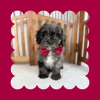 processed/3690617c-c2a8-4c80-abe7-2774ed0d038e/listing/3cbb1a8d-66ee-473a-a0f7-1183e49da6b1/b1acf9d1-2b0b-4b85-a6b6-e7c06b13a957