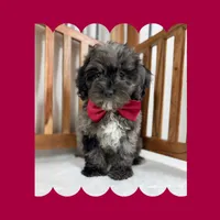 processed/3690617c-c2a8-4c80-abe7-2774ed0d038e/listing/3cbb1a8d-66ee-473a-a0f7-1183e49da6b1/bf61b3e8-0d3d-4fdc-b947-fa357c64c472