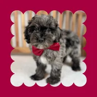 processed/3690617c-c2a8-4c80-abe7-2774ed0d038e/listing/3cbb1a8d-66ee-473a-a0f7-1183e49da6b1/d664b8e0-66d2-4441-bf3d-0212a4fc290a