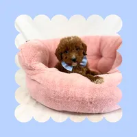 🩷CAVAPOO MALE🩷, a male Cavapoo and Poodle - Toy  for sale in Los Angeles, CA – Photo 9 of 9
