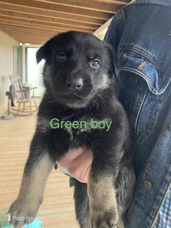 Green boy