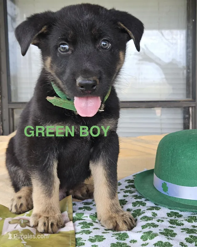Green boy