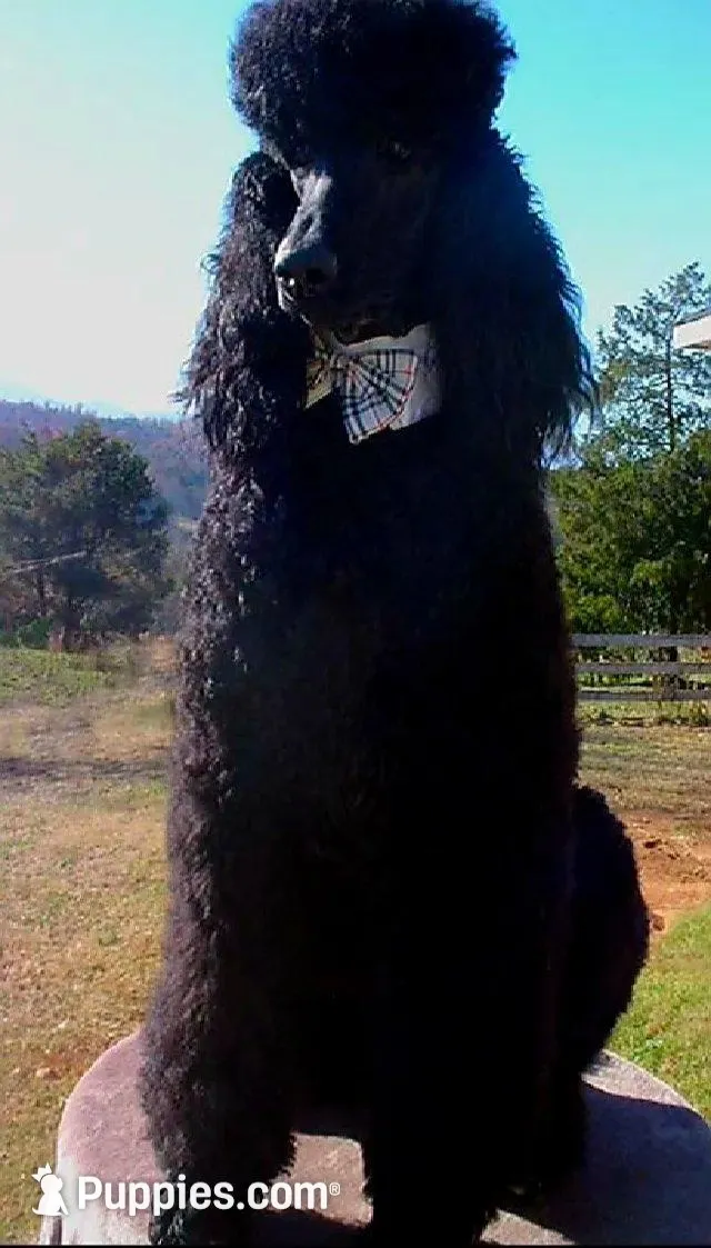 processed/36a082b9-ee48-42af-bebe-2a28e0b408f4/facility/2f56c825-3874-4629-ac0a-cc22370b80b7