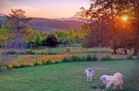 processed/36a082b9-ee48-42af-bebe-2a28e0b408f4/facility/45a8b6a1-03f3-4757-9a66-ca9dad7b0b1a