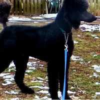 processed/36a082b9-ee48-42af-bebe-2a28e0b408f4/facility/4efc969a-0595-4942-a610-57a32bc72899