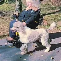 processed/36a082b9-ee48-42af-bebe-2a28e0b408f4/facility/6a205a76-bc0c-4b5b-a556-6d04823fd850