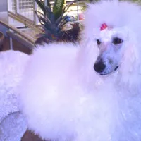 processed/36a082b9-ee48-42af-bebe-2a28e0b408f4/facility/c8538e8a-2652-4ef8-9cc6-3847fdbf98c1