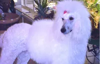 processed/36a082b9-ee48-42af-bebe-2a28e0b408f4/facility/c8538e8a-2652-4ef8-9cc6-3847fdbf98c1