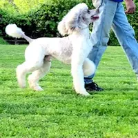 processed/36a082b9-ee48-42af-bebe-2a28e0b408f4/facility/e20a642b-31da-4053-acb7-330efe82da1b