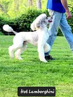 processed/36a082b9-ee48-42af-bebe-2a28e0b408f4/facility/e20a642b-31da-4053-acb7-330efe82da1b