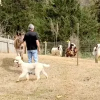 processed/36a082b9-ee48-42af-bebe-2a28e0b408f4/facility/e73b1809-c6ae-4521-82fb-0cc42732cc3e