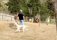 processed/36a082b9-ee48-42af-bebe-2a28e0b408f4/facility/e73b1809-c6ae-4521-82fb-0cc42732cc3e