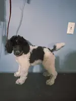 processed/36a082b9-ee48-42af-bebe-2a28e0b408f4/listing/244144cb-2675-4c6b-a807-2e75bf50c4be/50c42e18-5330-4dfe-91d3-abba4a276267