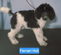 processed/36a082b9-ee48-42af-bebe-2a28e0b408f4/listing/244144cb-2675-4c6b-a807-2e75bf50c4be/6ada5b30-1e1f-40be-8c13-20b2b854e49f