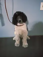 processed/36a082b9-ee48-42af-bebe-2a28e0b408f4/listing/244144cb-2675-4c6b-a807-2e75bf50c4be/95d39c07-3202-4e62-90fa-97e5ccd9e40e