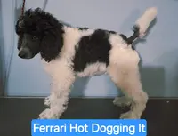 processed/36a082b9-ee48-42af-bebe-2a28e0b408f4/listing/244144cb-2675-4c6b-a807-2e75bf50c4be/e71ce577-88ad-45ac-9296-c9e5e05d6578