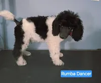 processed/36a082b9-ee48-42af-bebe-2a28e0b408f4/listing/de0f0f4d-3649-4407-b5e6-f9cec566d4cf/05e3c8d4-4baa-46ce-9667-85545086b44e