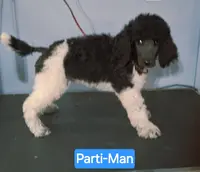 processed/36a082b9-ee48-42af-bebe-2a28e0b408f4/listing/febc117c-7c70-49de-8cc6-f8779cefc13b/0b0d7b75-d05f-4762-bbb4-079e360a32e2