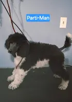 processed/36a082b9-ee48-42af-bebe-2a28e0b408f4/listing/febc117c-7c70-49de-8cc6-f8779cefc13b/32755e3d-0f4b-4e4a-9434-6a854ceed855