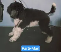 processed/36a082b9-ee48-42af-bebe-2a28e0b408f4/listing/febc117c-7c70-49de-8cc6-f8779cefc13b/49e0b476-47a6-49b3-ac80-1060237d77ce