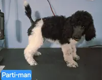 processed/36a082b9-ee48-42af-bebe-2a28e0b408f4/listing/febc117c-7c70-49de-8cc6-f8779cefc13b/6d4353bf-fe38-47e7-b50d-d29fbb87804c