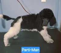 processed/36a082b9-ee48-42af-bebe-2a28e0b408f4/listing/febc117c-7c70-49de-8cc6-f8779cefc13b/9df4cabf-b4c8-44a5-b687-5a836c240dc2