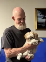 Sudden Lee, a male Shih Tzu for sale in La Mesa, CA – 4 of 5