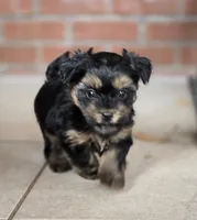 processed/36b9cd6a-1859-45ea-b0e6-c5ef7d7919f7/listing/e6f8f58a-4971-4bc4-a8bd-233083eeb819/0e41d6c7-8776-40f5-adbe-2b786a74e83e