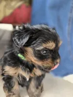 processed/36b9cd6a-1859-45ea-b0e6-c5ef7d7919f7/listing/e6f8f58a-4971-4bc4-a8bd-233083eeb819/94ef2385-0282-4096-8b48-dfdaaec1acb9