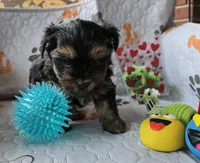 processed/36b9cd6a-1859-45ea-b0e6-c5ef7d7919f7/listing/e6f8f58a-4971-4bc4-a8bd-233083eeb819/a534092b-32cd-40f7-b233-670e2d26bdf8