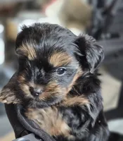 processed/36b9cd6a-1859-45ea-b0e6-c5ef7d7919f7/listing/e6f8f58a-4971-4bc4-a8bd-233083eeb819/a5a5ccc4-275e-4a95-9987-5be2e2adfb63