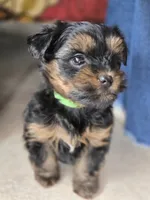 processed/36b9cd6a-1859-45ea-b0e6-c5ef7d7919f7/listing/e6f8f58a-4971-4bc4-a8bd-233083eeb819/f3739476-1180-4d23-9456-1d15e1ae3b2f