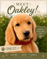 Oakley, a male Golden Retriever for sale in Brooksville, FL – 1 of 6