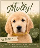 Molly, a female Golden Retriever for sale in Brooksville, FL – 1 of 5
