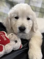 processed/36cda0e7-7ad8-468d-aa45-a7eb489224db/listing/4b092de1-45fc-4a34-b9f7-fd7646a3bd99/00d2d427-f4db-45a1-bbd0-013ac6909995