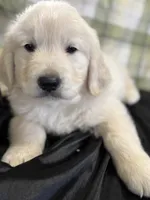 processed/36cda0e7-7ad8-468d-aa45-a7eb489224db/listing/4b092de1-45fc-4a34-b9f7-fd7646a3bd99/b8c8ce54-14bd-42d7-95ef-92ebab63e539