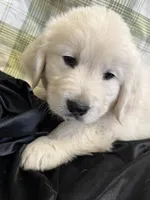 processed/36cda0e7-7ad8-468d-aa45-a7eb489224db/listing/4b092de1-45fc-4a34-b9f7-fd7646a3bd99/d6b80527-af5a-4a11-b700-e0e099a33885