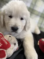 processed/36cda0e7-7ad8-468d-aa45-a7eb489224db/listing/4b092de1-45fc-4a34-b9f7-fd7646a3bd99/f8804e57-819b-4b0e-9649-9991d5496f0d