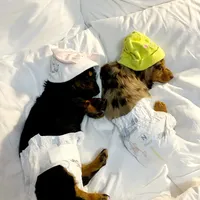 processed/36cee6ff-0d12-4806-8c58-606a1ca5f04d/facility/1c4c0634-008d-4093-b807-944753ef3aca