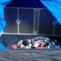 processed/36cee6ff-0d12-4806-8c58-606a1ca5f04d/facility/573579bc-2094-4be1-bf0b-f099ca7fa042