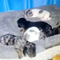 processed/36cee6ff-0d12-4806-8c58-606a1ca5f04d/facility/fa41710c-0317-40b1-aade-0e2fe5e51bd7