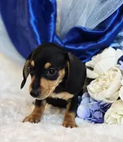 processed/36cee6ff-0d12-4806-8c58-606a1ca5f04d/listing/0f8dc861-12bc-4534-b0bf-4d44f2e65267/1f6c4939-1907-4fd3-8ed1-2c7e86aa106d