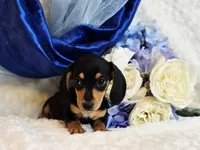 processed/36cee6ff-0d12-4806-8c58-606a1ca5f04d/listing/0f8dc861-12bc-4534-b0bf-4d44f2e65267/21ab5d86-b919-412c-a110-0f1fec6127f6