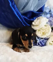 processed/36cee6ff-0d12-4806-8c58-606a1ca5f04d/listing/0f8dc861-12bc-4534-b0bf-4d44f2e65267/e00de9a0-a0cb-4c3a-859c-fc795f2d544d