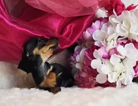 processed/36cee6ff-0d12-4806-8c58-606a1ca5f04d/listing/3f4a078a-e62b-4ede-88d3-7fdb8e0eadfa/00f9363a-5363-47d0-9d29-93720750b6c5