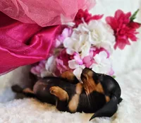 processed/36cee6ff-0d12-4806-8c58-606a1ca5f04d/listing/3f4a078a-e62b-4ede-88d3-7fdb8e0eadfa/281b60e1-27df-49af-a76b-95a643228390